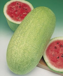 produzione semi anguria charleston grey