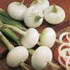 produzione semi cipolla a tunica bianca de vaugirard