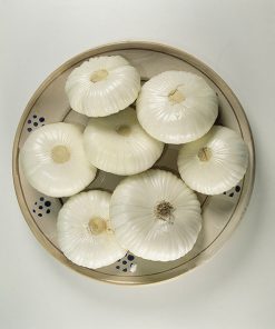 onion white extra early pompei sel. asso seeds production