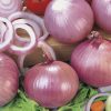 produzione semi cipolla a tunica rossa figueras
