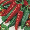 produzione semi peperone hoja