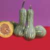 produzione semi zucca lunga di napoli