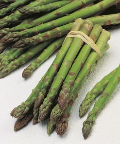 produzione semi asparago mary washington