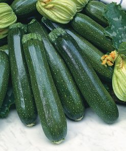 produzione semi zucchino president