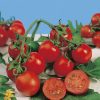 produzione semi pomodoro red cherry (determinate)
