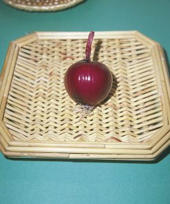 produzione semi cipolla a tunica rossa rossa da inverno