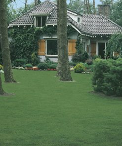 produzione semi prato shady garden