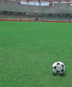 produzione semi prato sport line