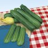produzione semi zucchino striato pugliese