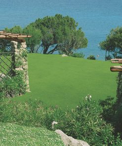 produzione semi prato sunny garden