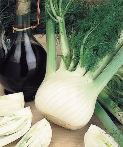 produzione semi finocchio super wadenromen