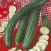 produzione semi carosello del sud italia tortarello barese