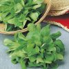 produzione semi valeriana verte de cambrai